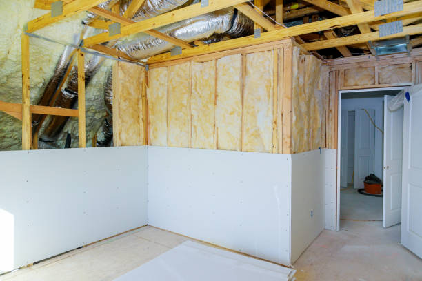 Best Residential Insulation in Raytown, MO