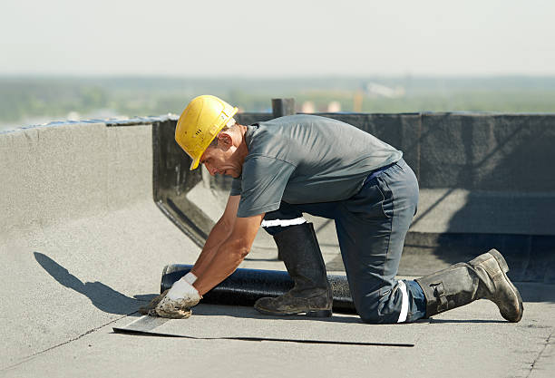 Best Insulation Maintenance and Repair in Raytown, MO